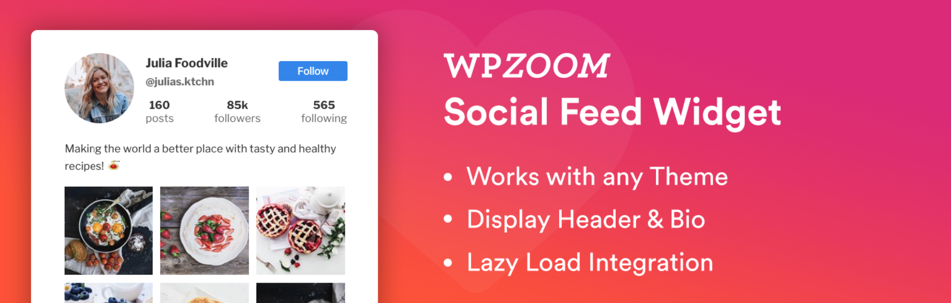 WPZoom Instagram-Feed-Plugin für WordPress